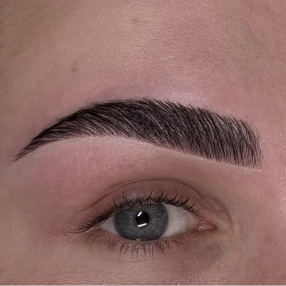 The Elite Brows
